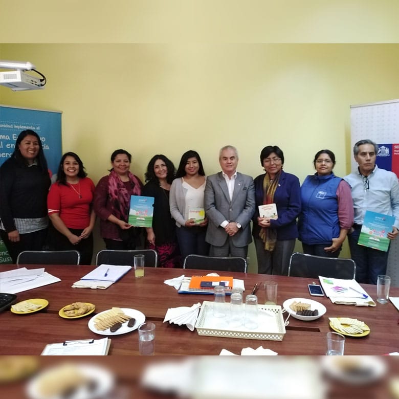 AricayParinacotaeducacion1