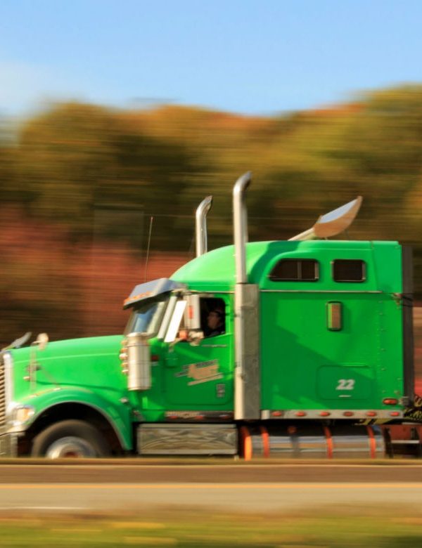 Camion 600x780