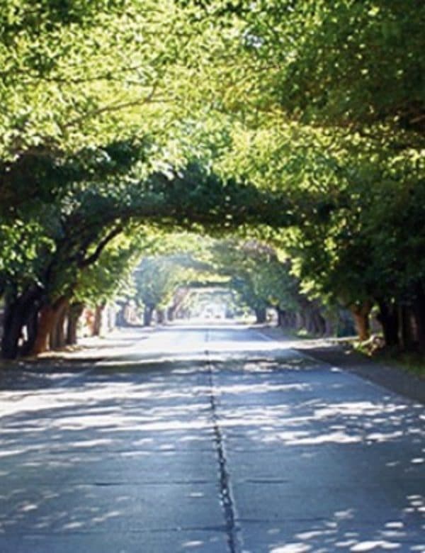 CALLE LARGA 1 600x780