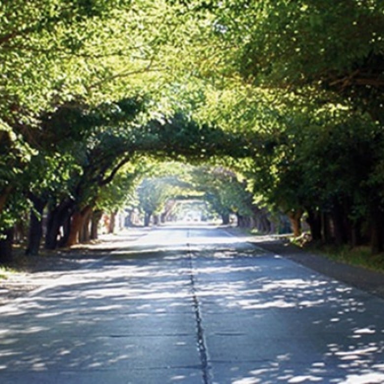 CALLE LARGA 1