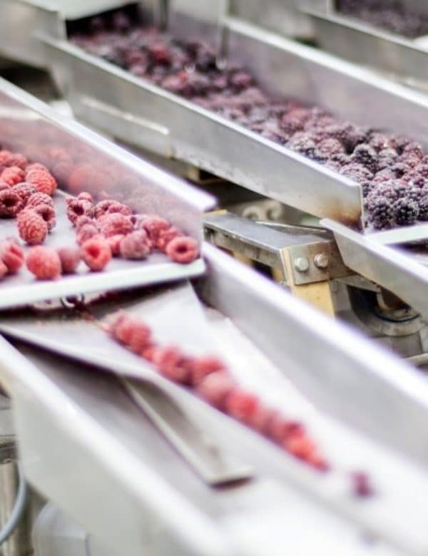 Industria alimentos procesados 3 1 600x780