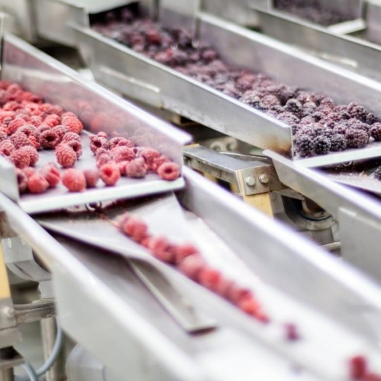 Industria alimentos procesados 3 1