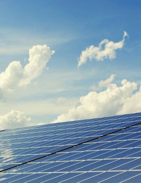 Panel fotovoltaico 600x780