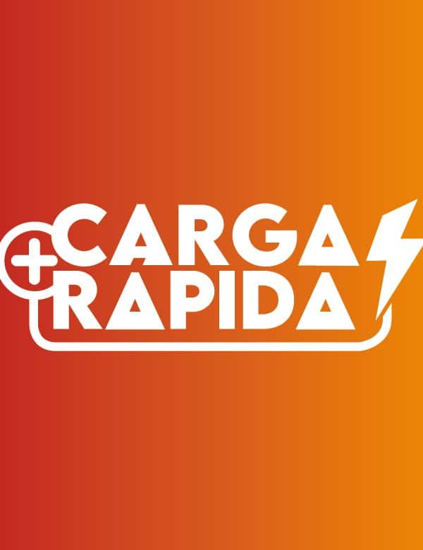 Logos Carga z copia 3 600x780