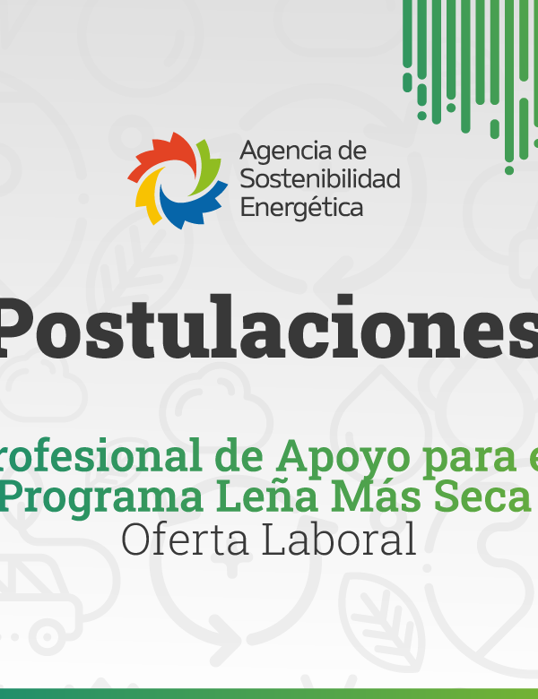 780 POSTULACION 780 Profesional de Apoyo para el Programa Lena Mas Seca Oferta Laboral 600x780