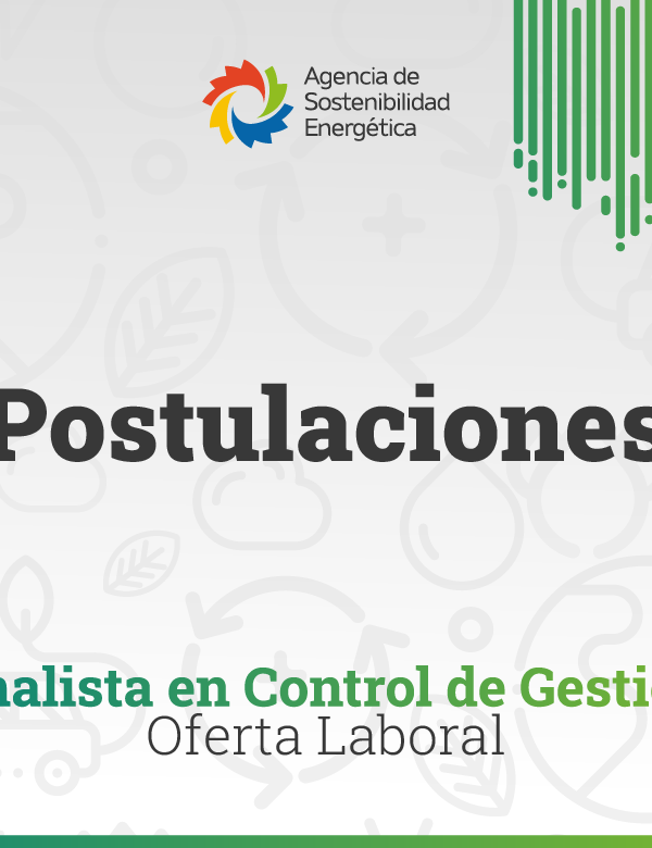 780 Analista en Control de Gestion 600x780