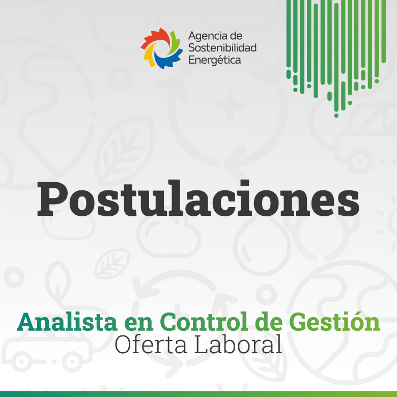 780 Analista en Control de Gestion