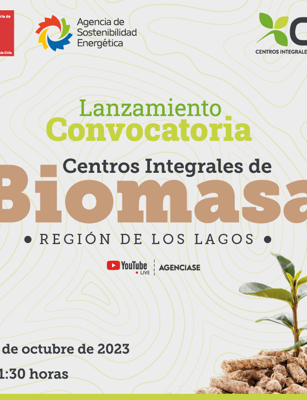 BIOMASA 2 1 600x780
