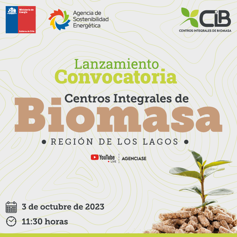 BIOMASA 2 1