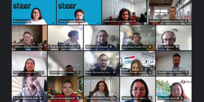 Steer 780