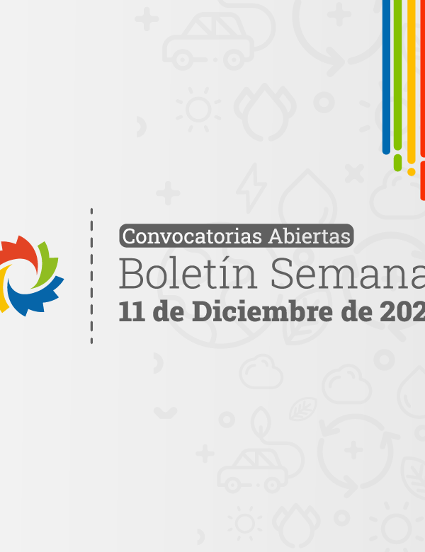 11 de Diciembre de 2023 780 600x780