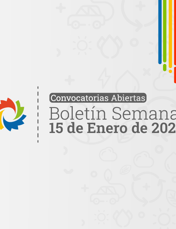 ENERO 780 15 600x780