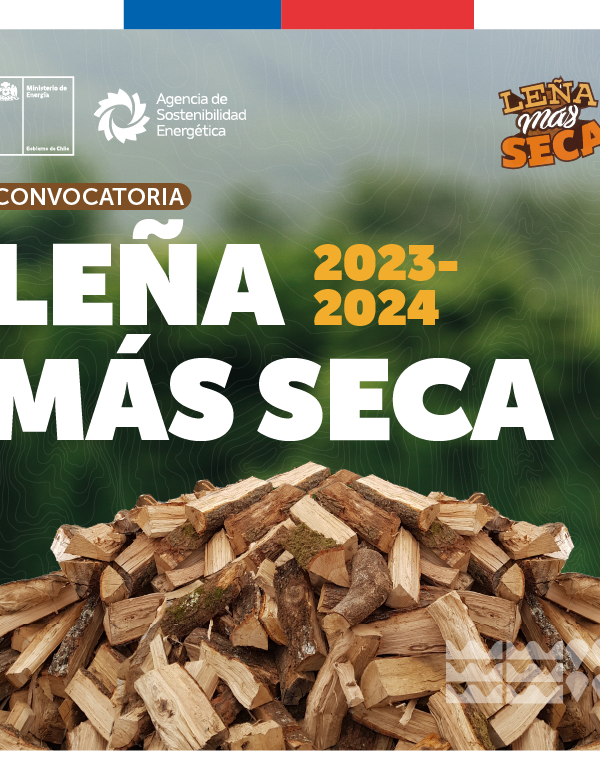 Lena Convocatoria 2023 2024 600x780