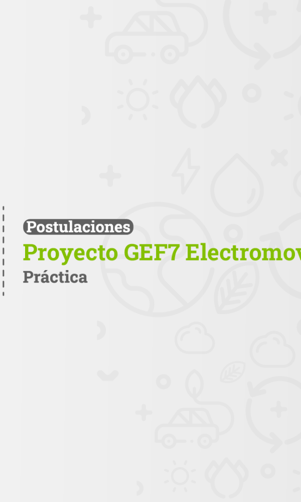 Postulaciones 780 Practica 600x1000