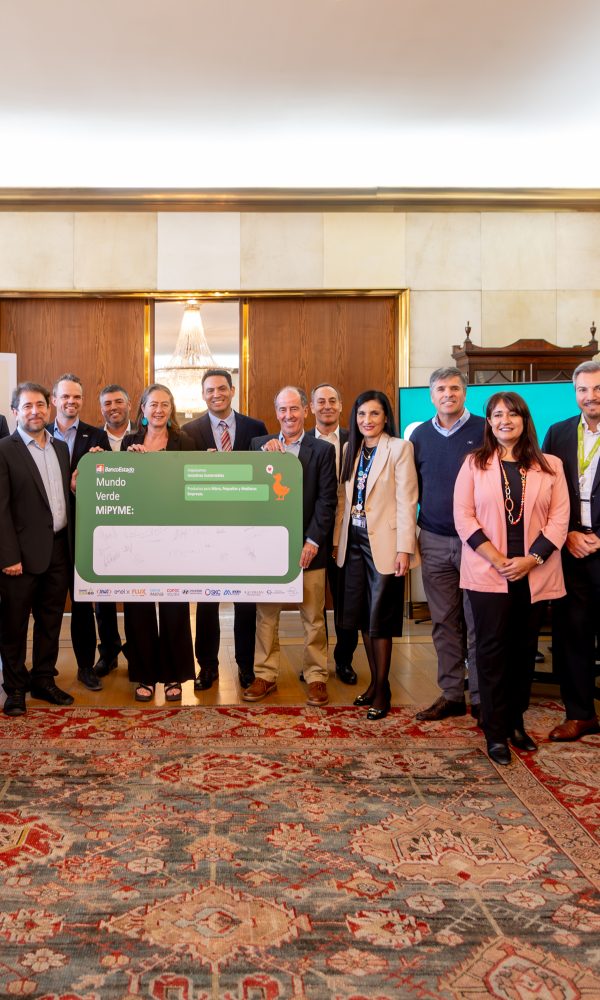 Lanzamiento Mundo Verde Mipyme 600x1000