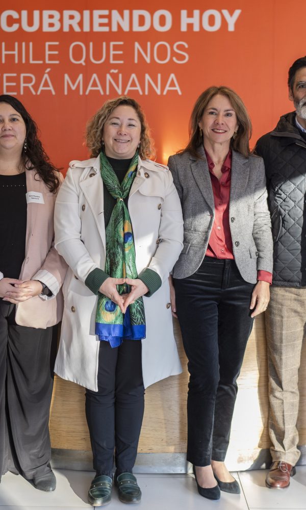 Roberto Celis Rosa Riquelme AgenciaSE Roxana Silva Anesco Chile Susana Jimenez de CPC Hernan Araneda e Ignacio Santelices de FCh 600x1000