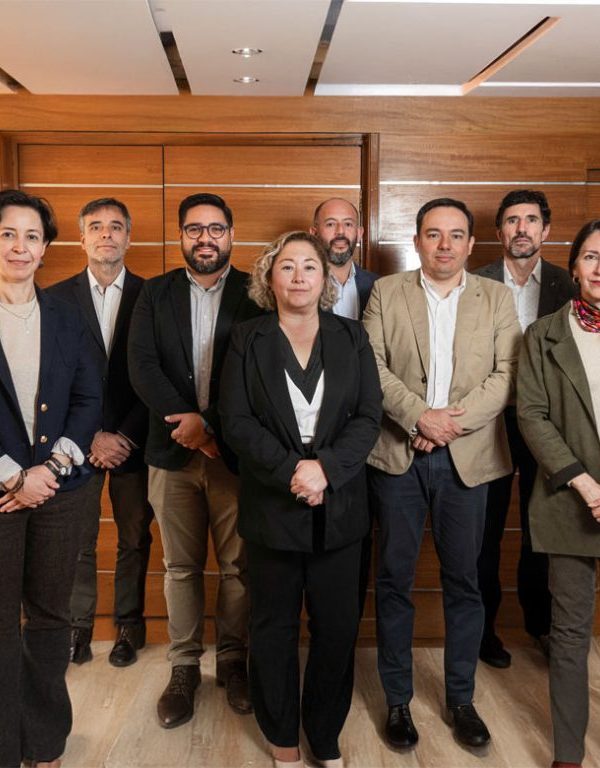 Anesco directorio 600x768