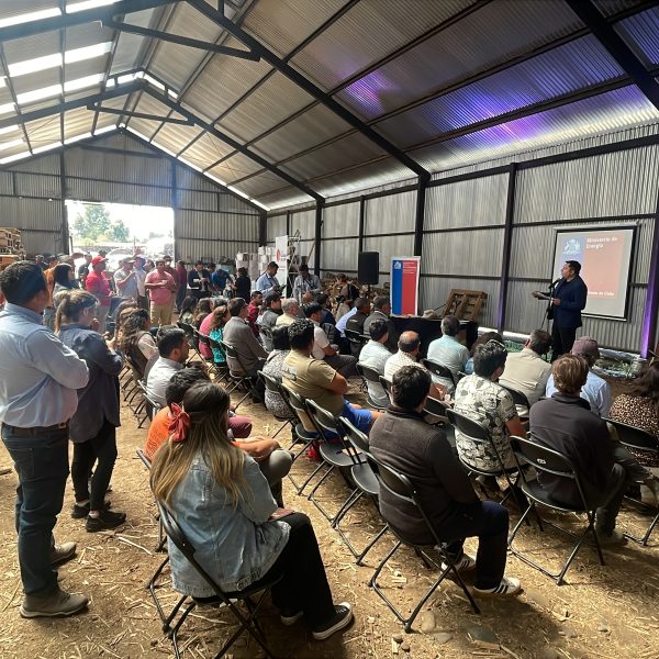 Lanzamiento del programa Leña Más Seca 2025 