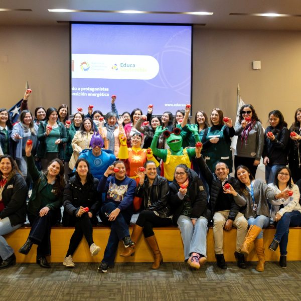 Educa Sostenible llega a Los Lagos