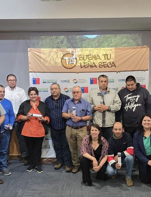Programa Tá Buena Tu Leña Seca, Región de Los Lagos