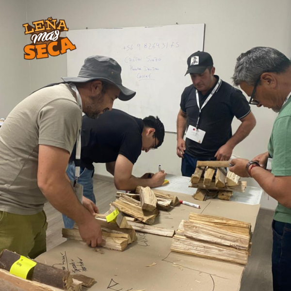 Leña Más Seca