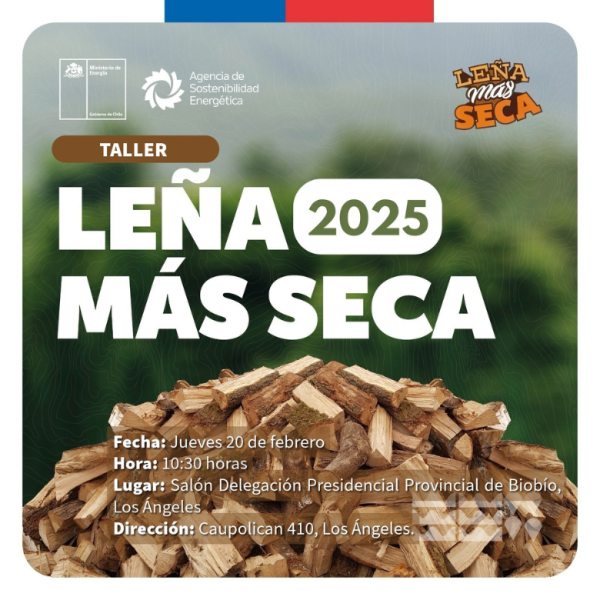 Leña Más Seca