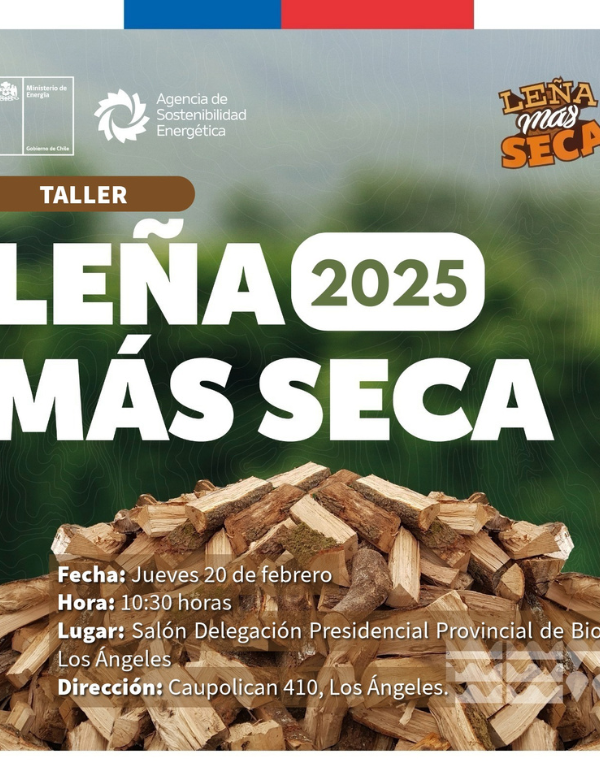 Leña Más Seca
