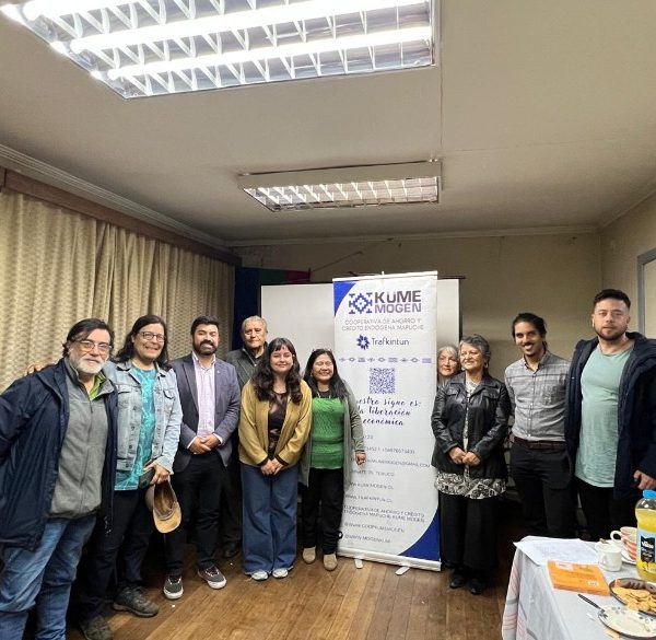 Temuco Oficial convertido a 780x585