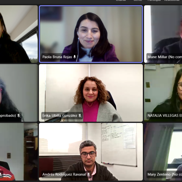 Taller de gestion energética Curicó