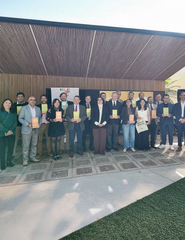 Foto web jpg 600x780