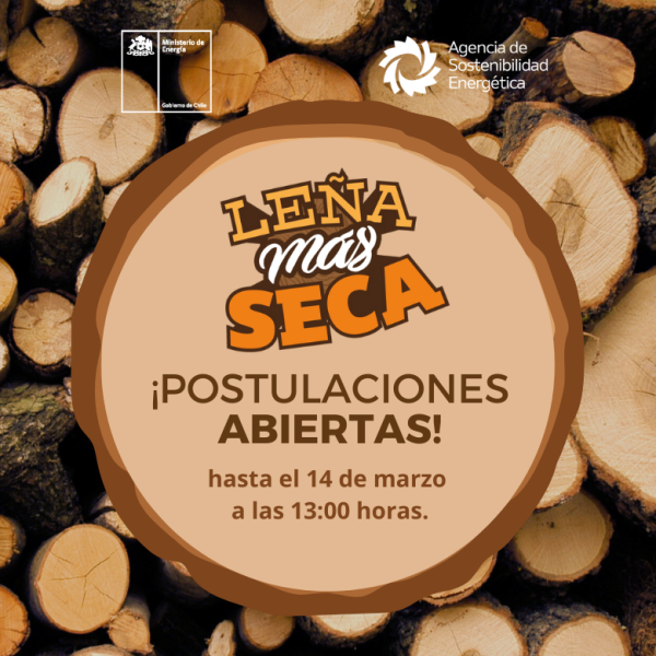 Programa Leña Más Seca 2025